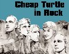 cheap turtle, germany